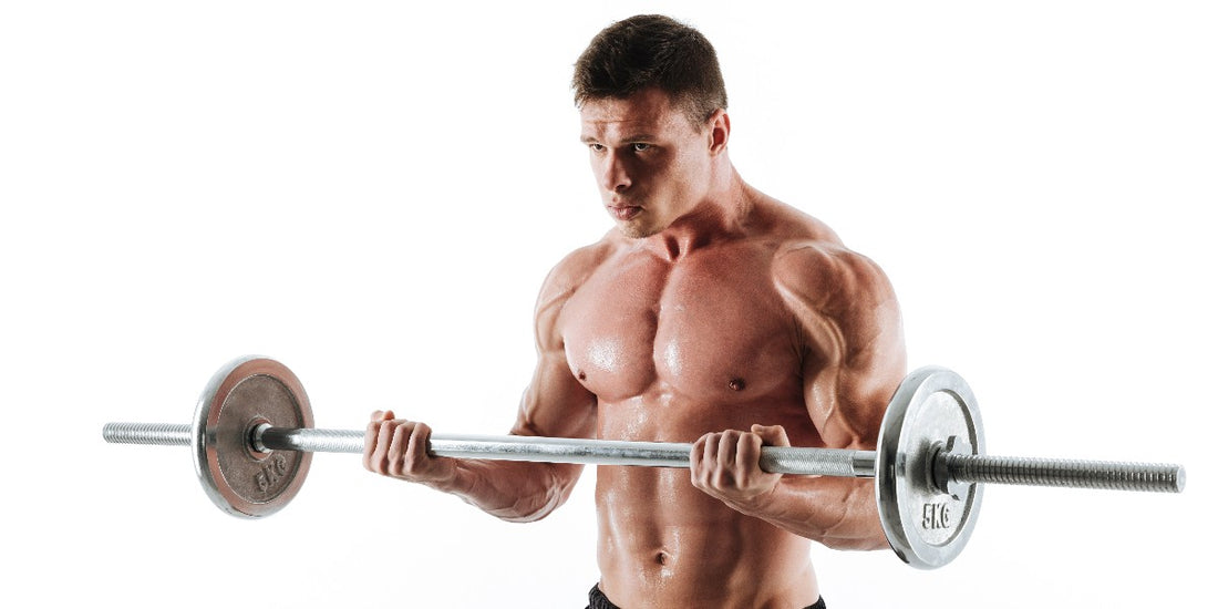 Bulking vs. Cutting: A Comprehensive Guide